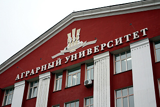 Молодые ученые Алтайского аграрного университета могут выиграть гранты до 400 тысяч рублей 