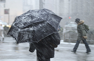 Барнаульцев предупреждают о сильном ветре, гололёде и мокром снеге 26 и 27 октября