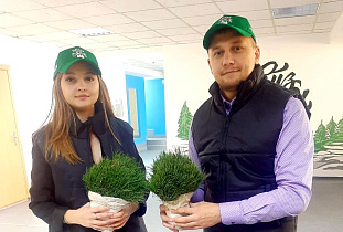Жителей Алтайского края приглашают высадить кедры в рамках акции «Зеленый Алтай»