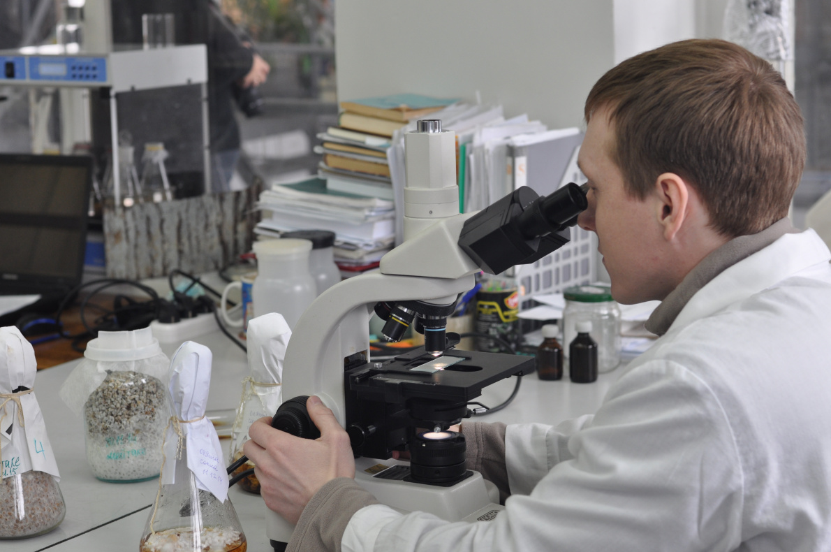 Барнаульские студенты участвуют в реализации исследовательских и научных проектов   