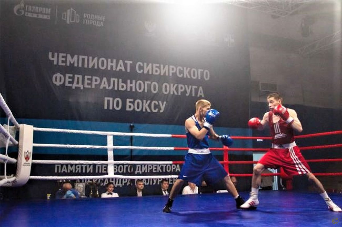 Барнаульский боксер – победитель чемпионата Сибири