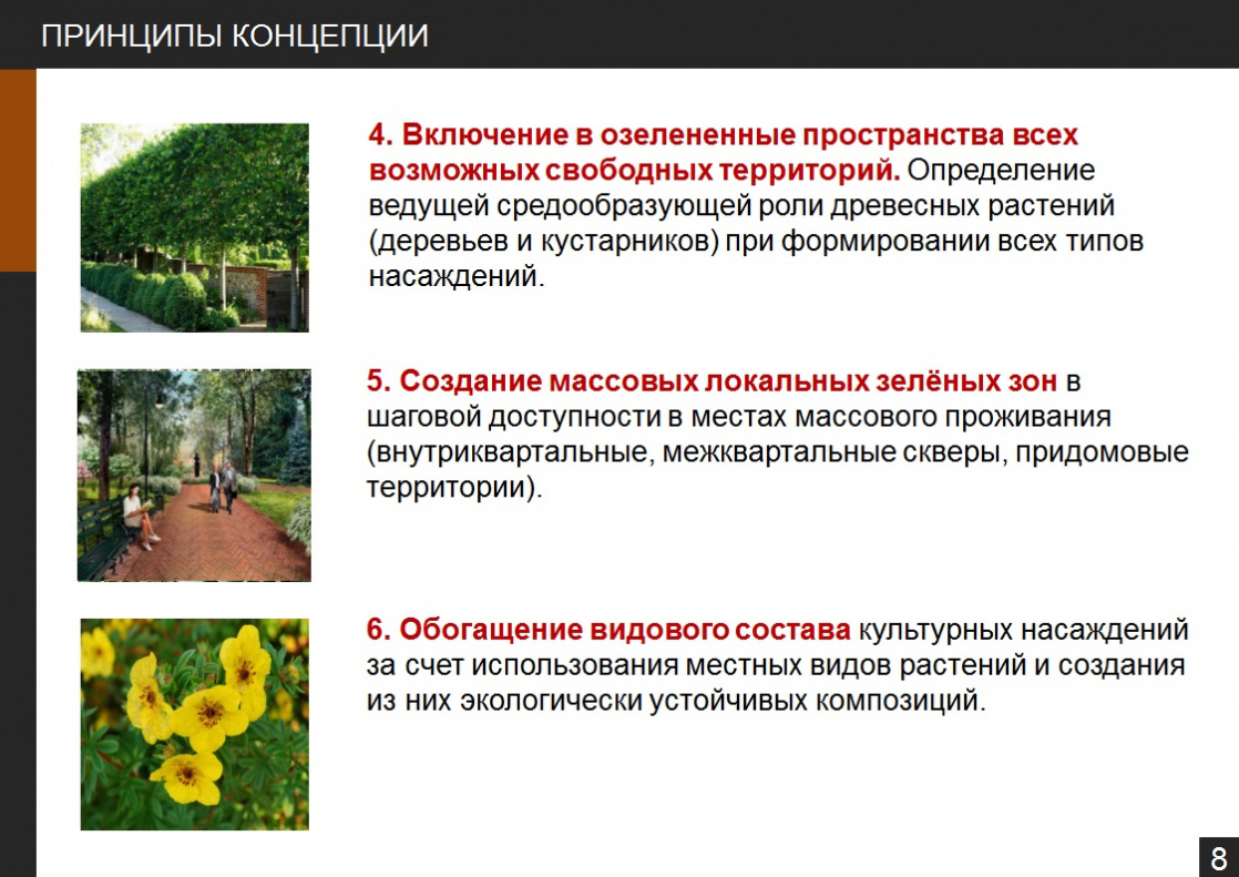 В администрации города обсудили новую концепцию озеленения Барнаула БАРНАУЛ :: Официальный сайт города