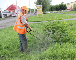 После ливней в Барнауле интенсивно косят траву на газонах