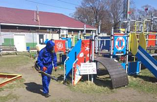 В Барнауле приступили к акарицидной обработке общественных территорий