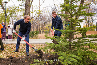 Барнаул присоединился к Всероссийской акции «Сохраним лес»