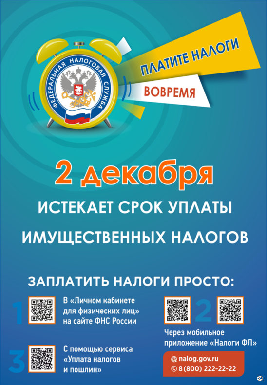 Барнаульцам напоминают об уплате имущественных налогов до 2 декабря