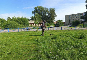 В районах Барнаула продолжаются работы по покосу травы
