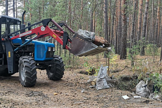 Две машины мусора вывезли из Барнаульского лесничества по итогам субботника