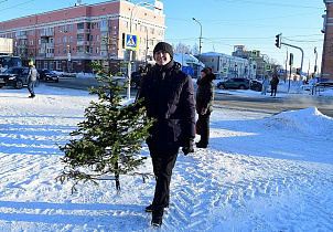 В Барнауле в шестой раз проходит акция по сбору новогодних елок