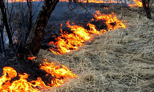 В Алтайском крае продлили штормовое предупреждение из-за высокой пожароопасности