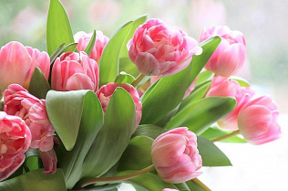 Волонтеры движения #МЫВМЕСТЕ подарили цветы медработникам Барнаула