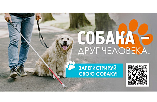 В Октябрьском и Железнодорожном районах зарегистрировали более 250 собак в ходе выездной регистрации 