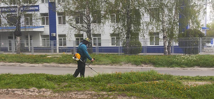 В Ленинском районе ведутся работы по покосу травы и восстановлению клумб, поврежденных в зимний период  