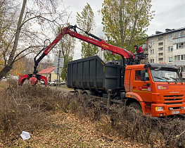 В Барнауле завершается месячник осенней санитарной очистки