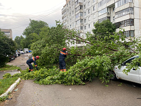 В Барнауле городские службы устраняют последствия непогоды