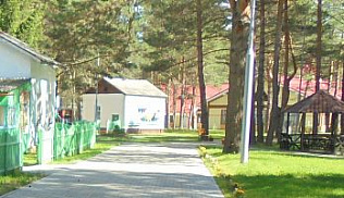 Загородные оздоровительные лагеря Барнаула не будут работать в этом сезоне