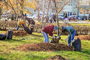 26 октября в Барнауле пройдет завершающий «чистый четверг» в рамках месячника осенней саночистки